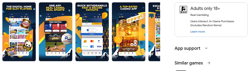 The BetRivers Ontario listing on Google Play, whose store creatives advertise the slot lobby, the combined casino and sportsbook, and the payout screen