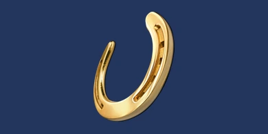 Horseshoe Online Casino logo
